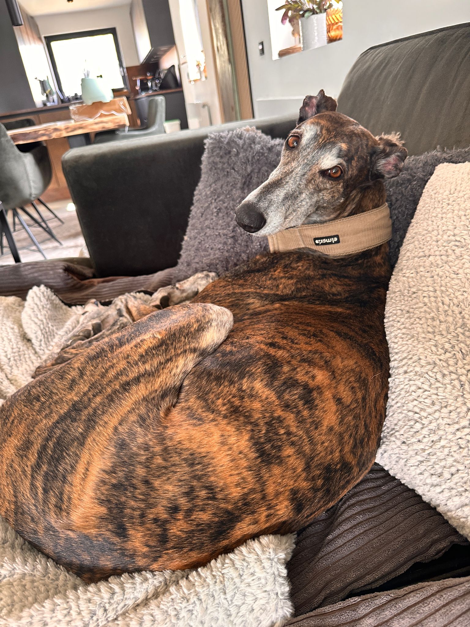 Julian, Okapi & Kleinmäuse